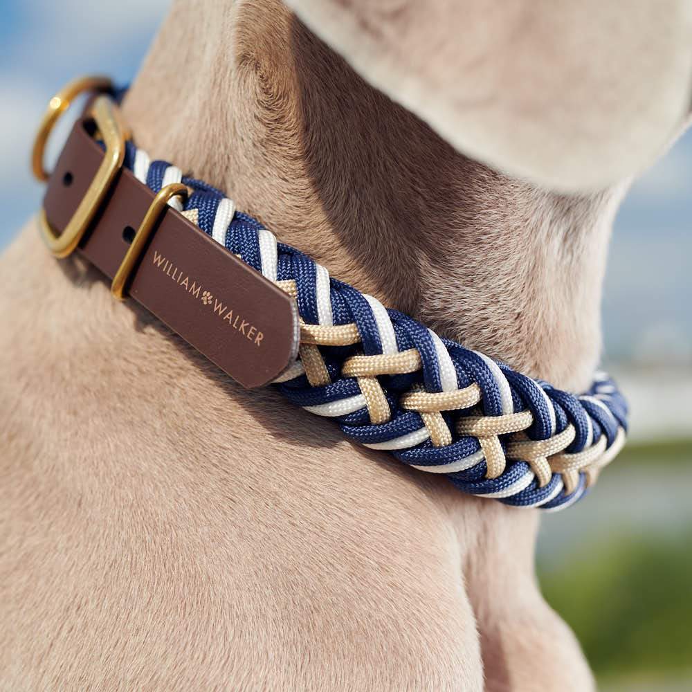 Collar para perros Paracord BioThane® Hanseatic